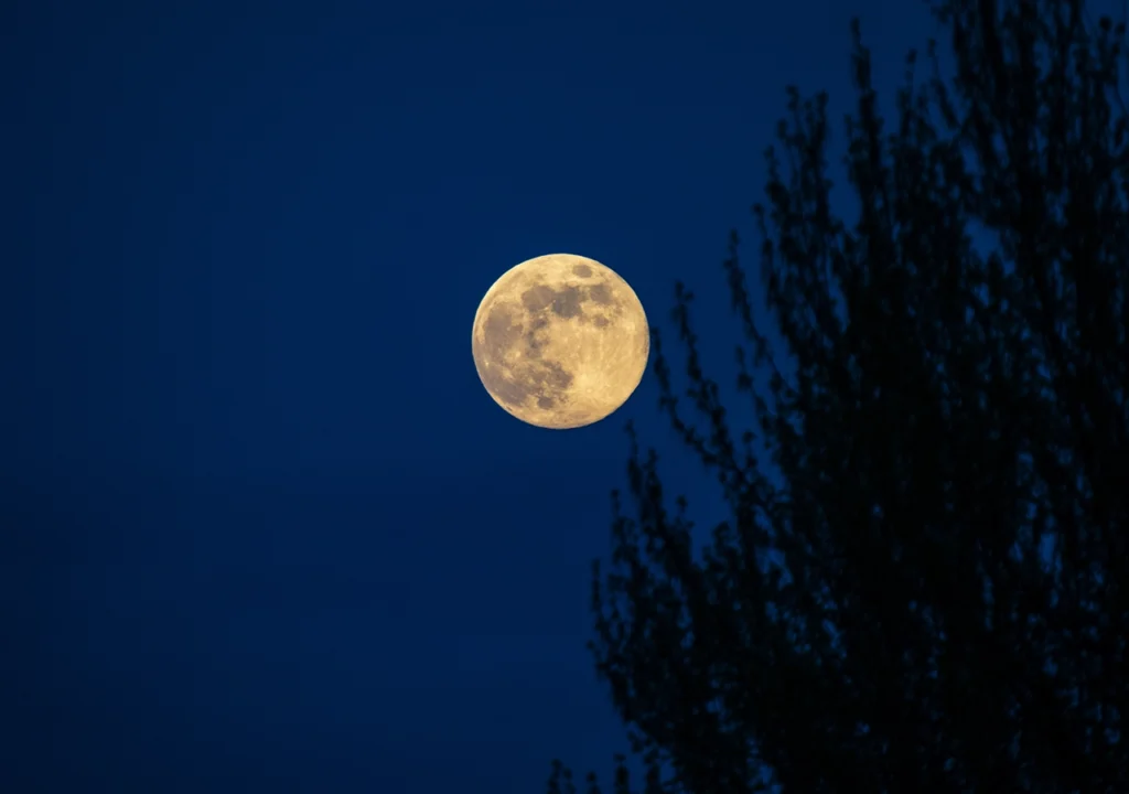 Earth Without the Moon